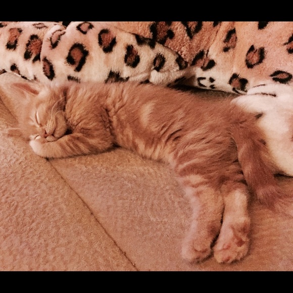 We Didn’t Win Our War With Cancer - Picture 4 of 8